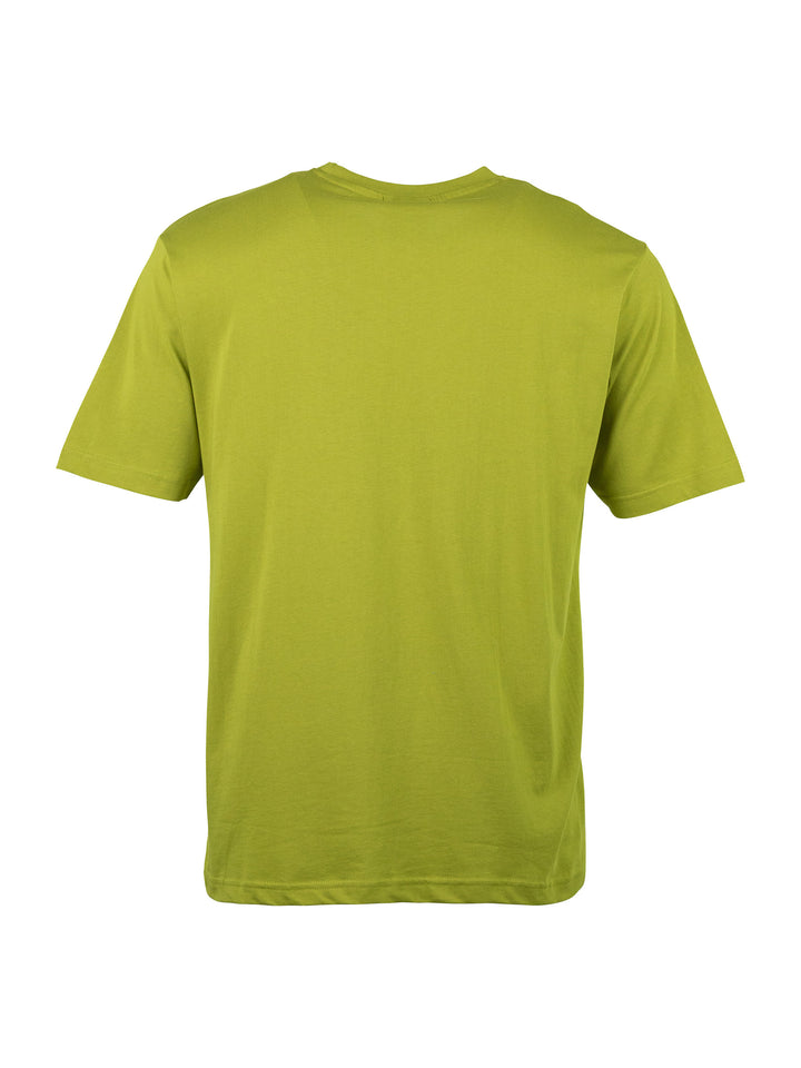#farbe_palm-green