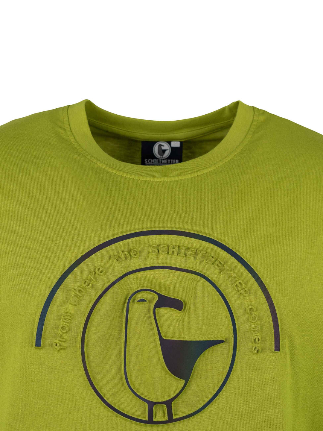 #farbe_palm-green