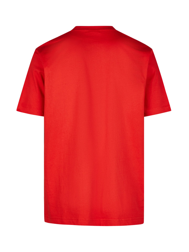#farbe_red