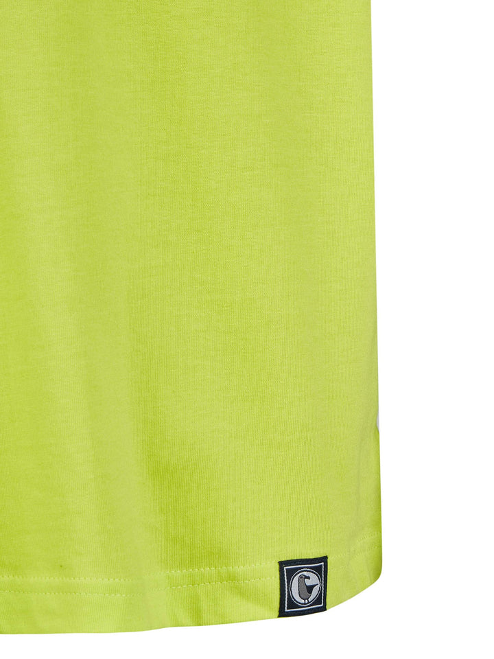 #farbe_lime
