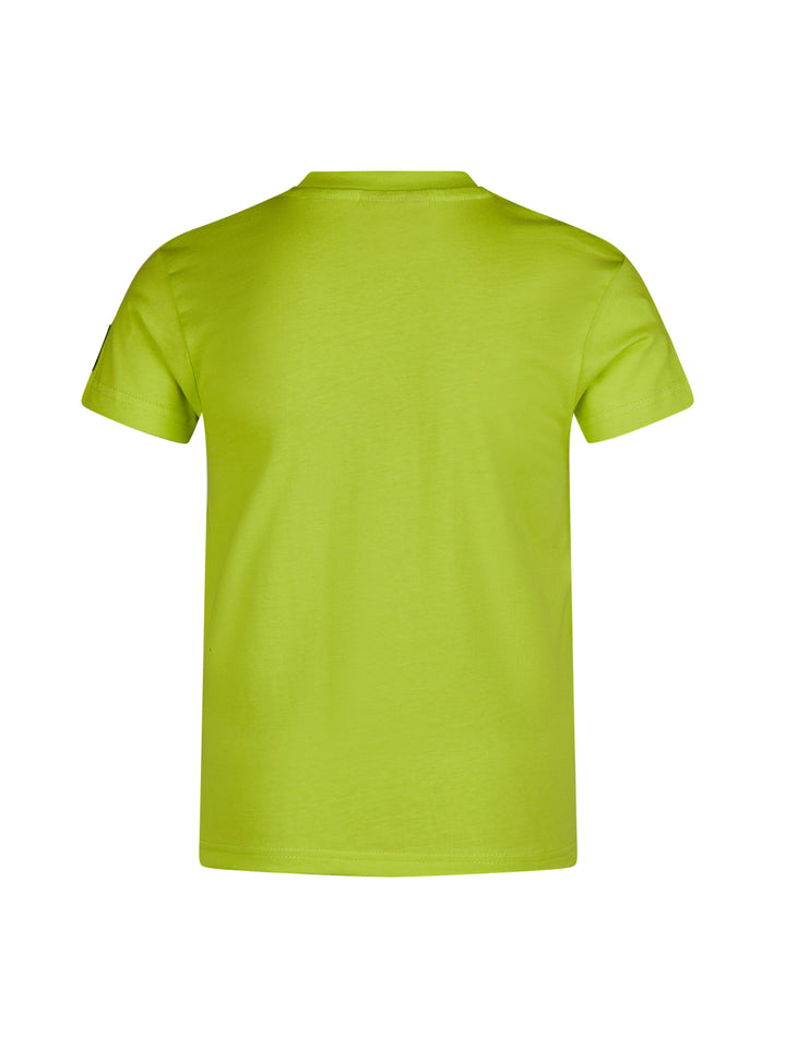 #farbe_lime