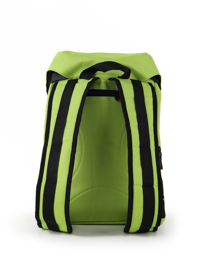 #farbe_lime
