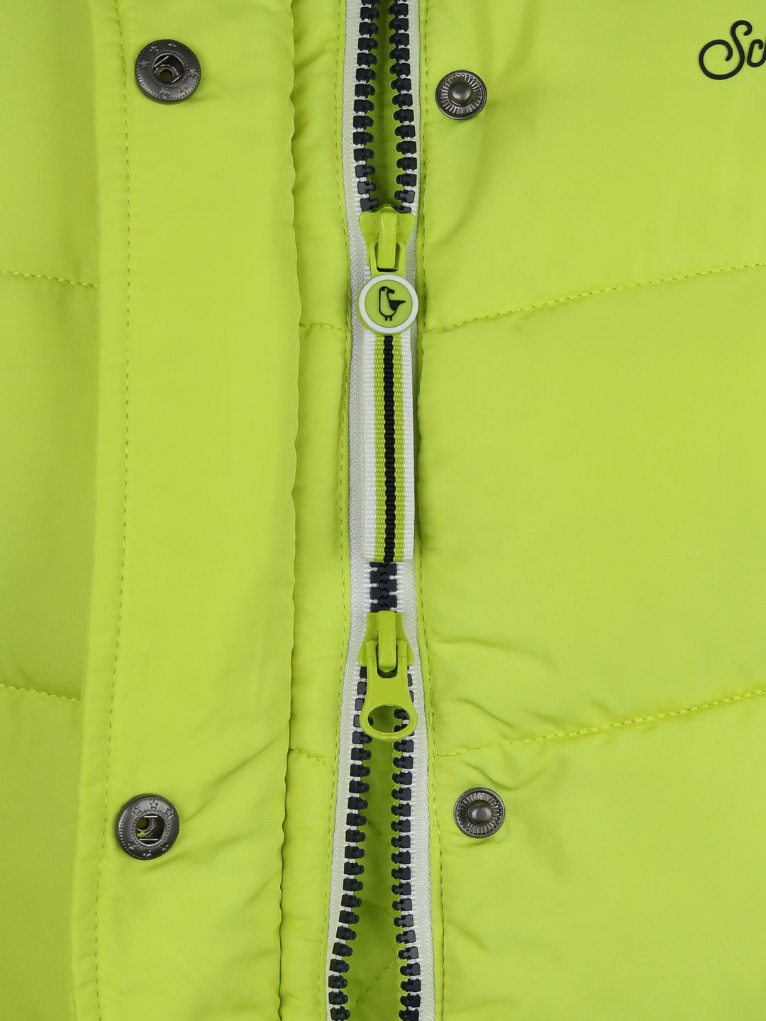 #farbe_lime