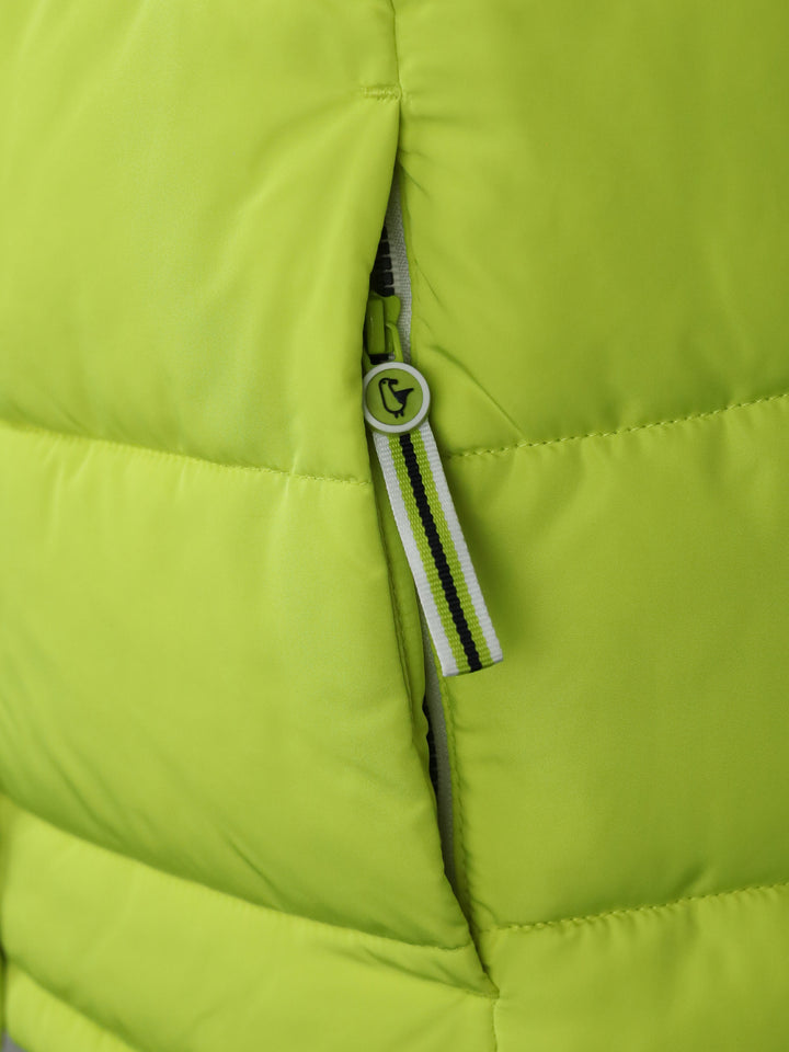 #farbe_lime