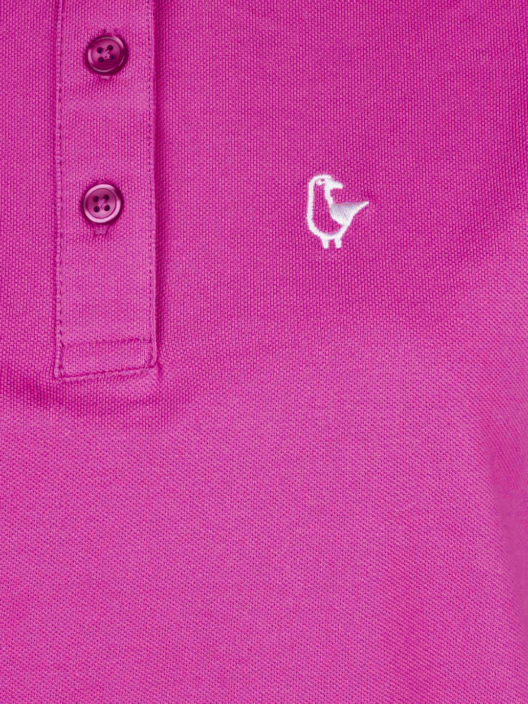 #farbe_fuchsia