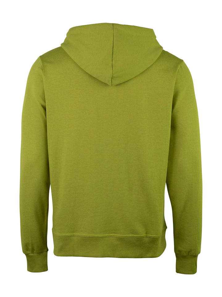 #farbe_palm-green