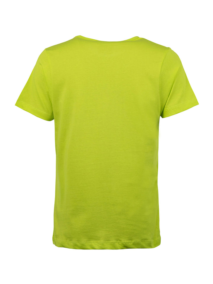 #farbe_lime