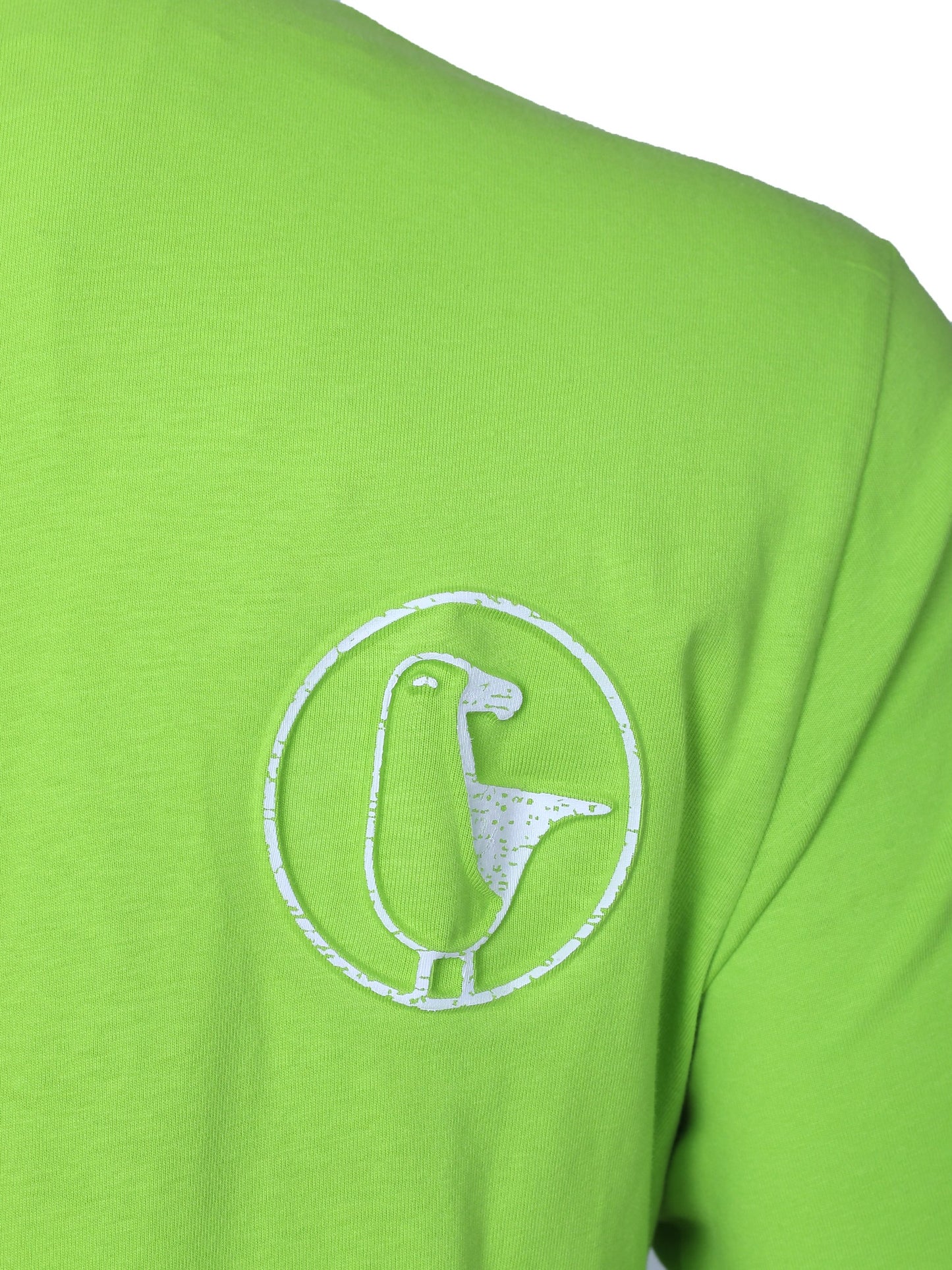 #farbe_lime