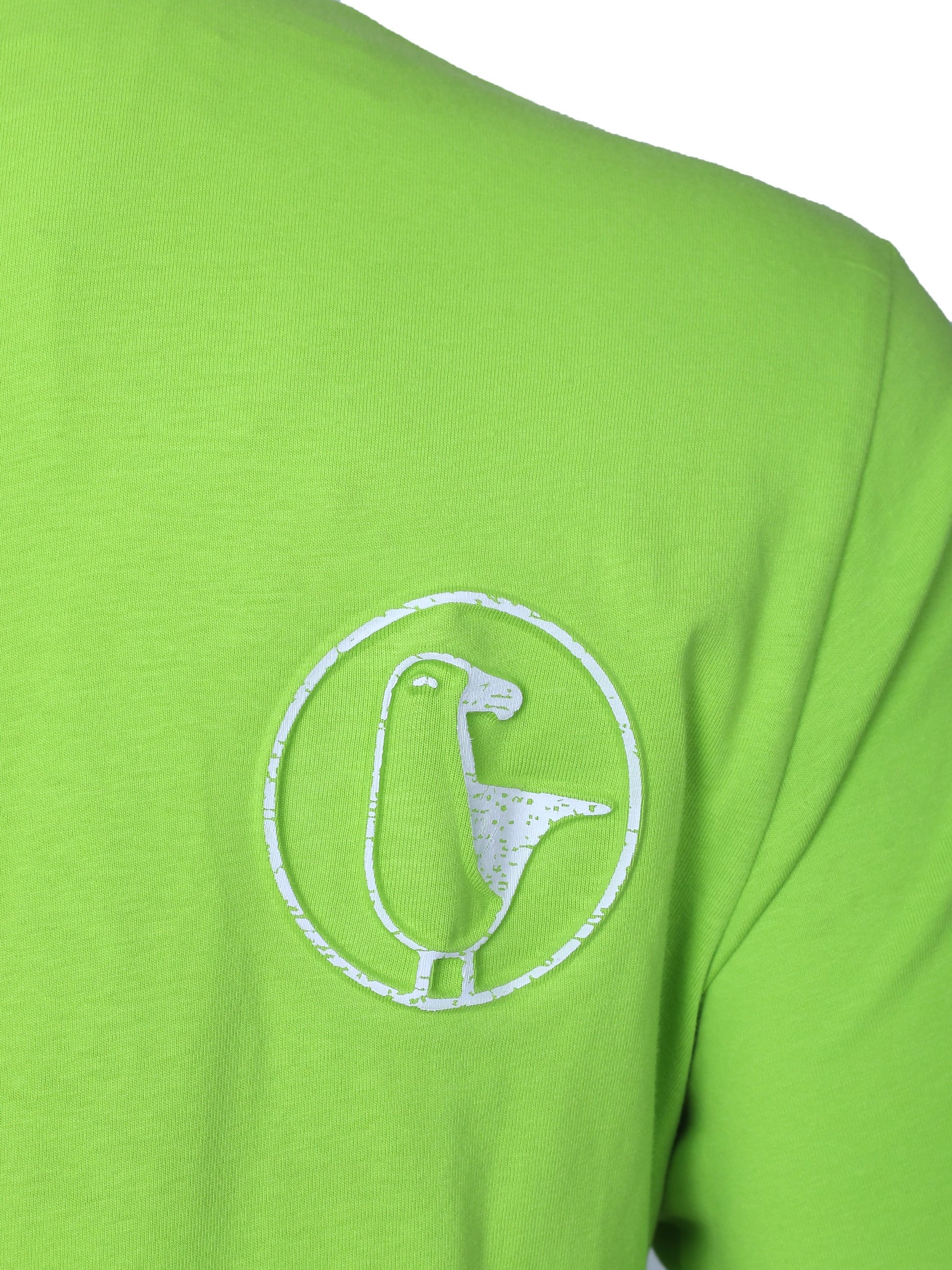 #farbe_lime