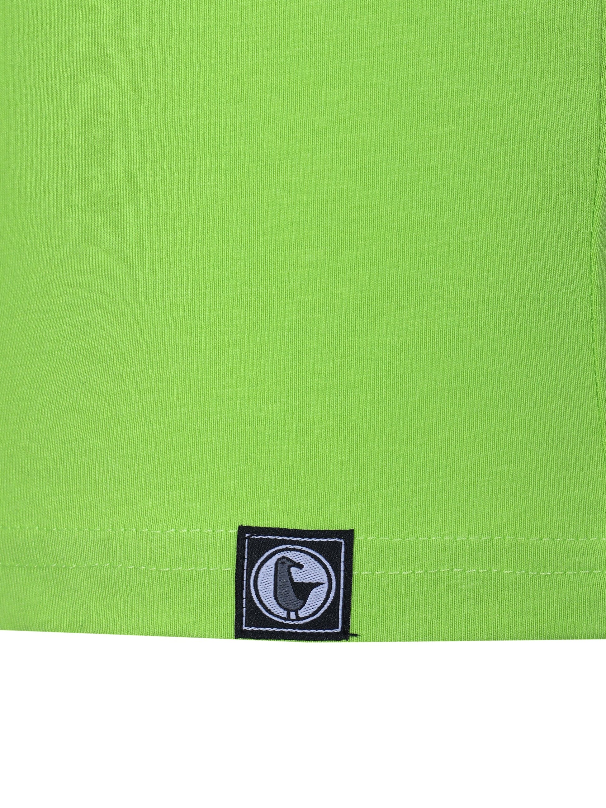 #farbe_lime