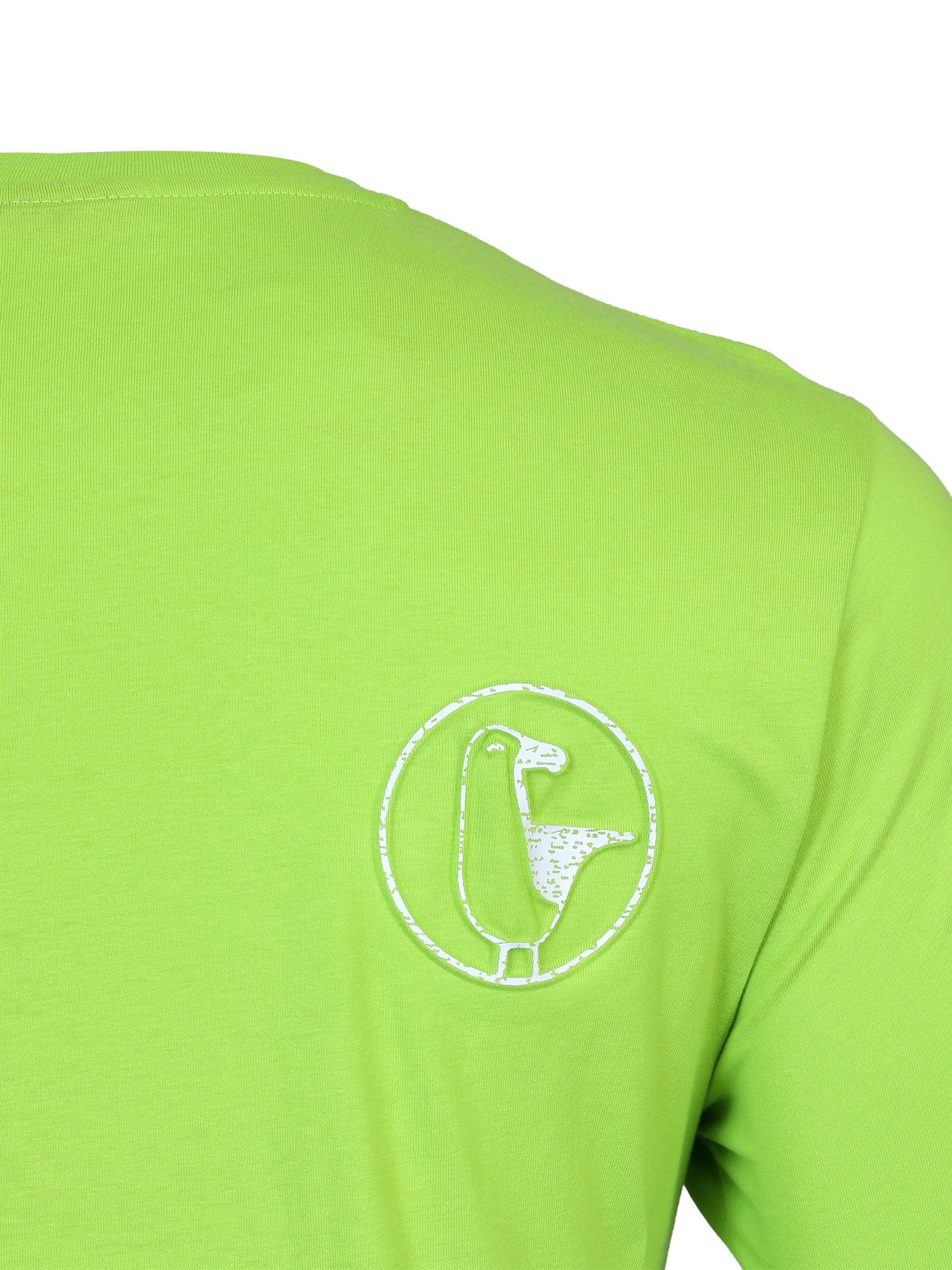 #farbe_lime