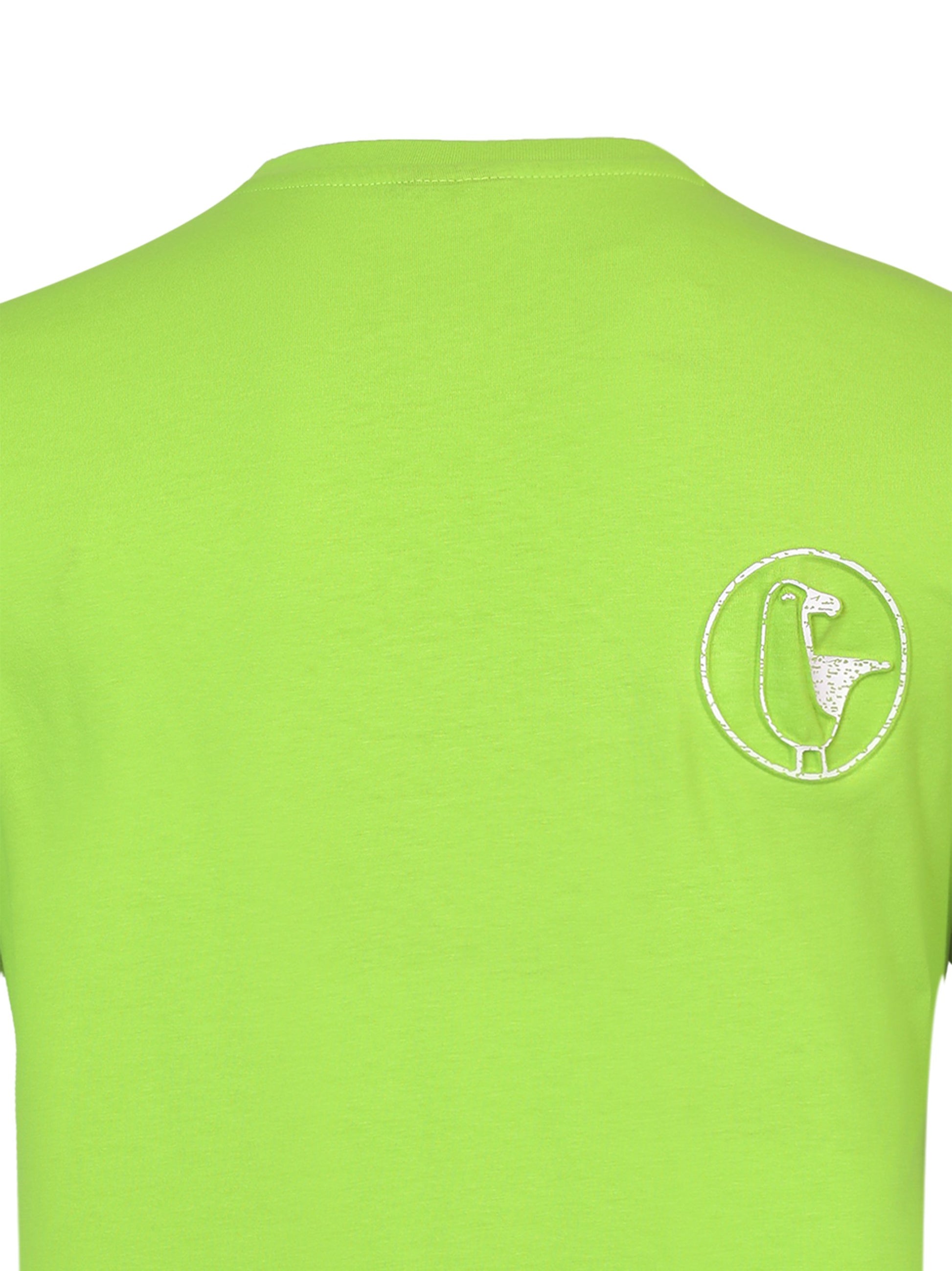 #farbe_lime