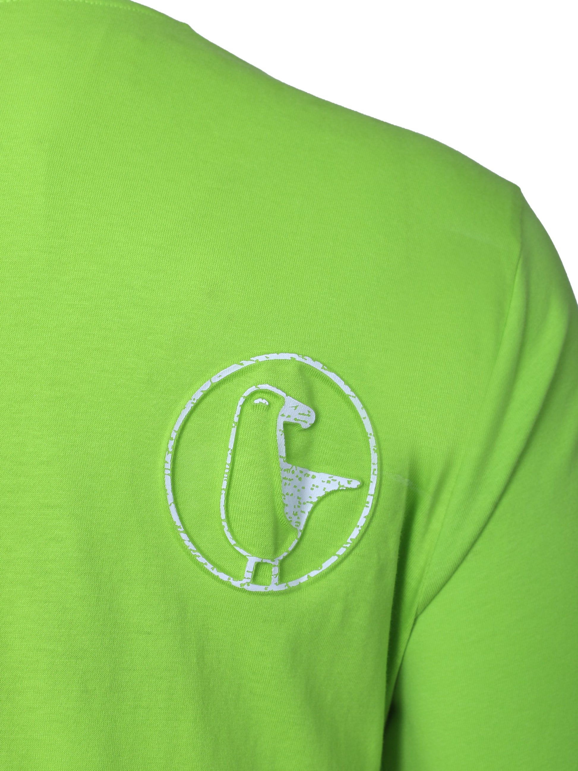 #farbe_lime