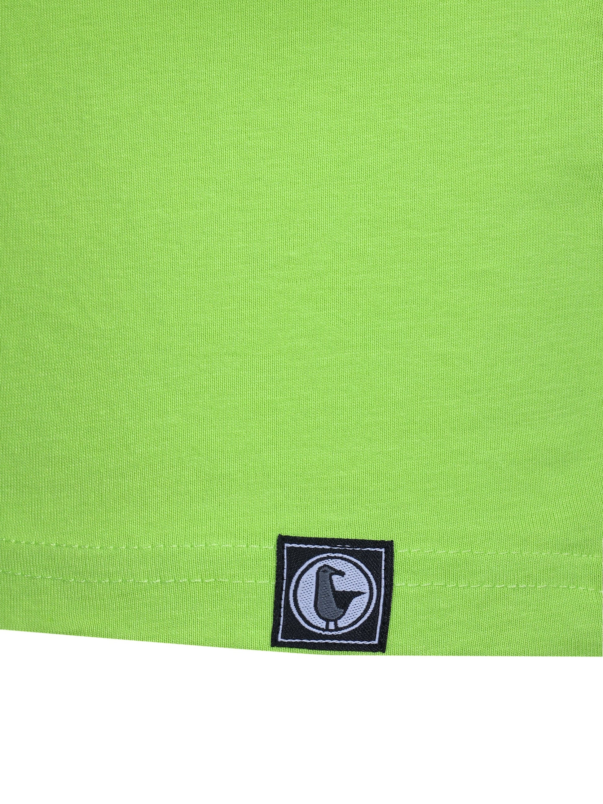 #farbe_lime