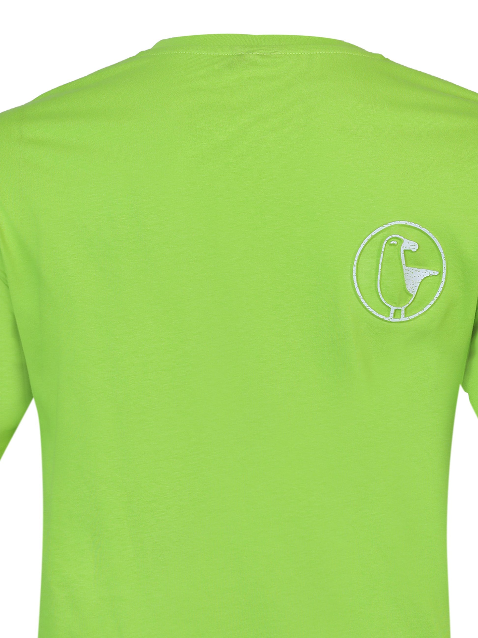 #farbe_lime