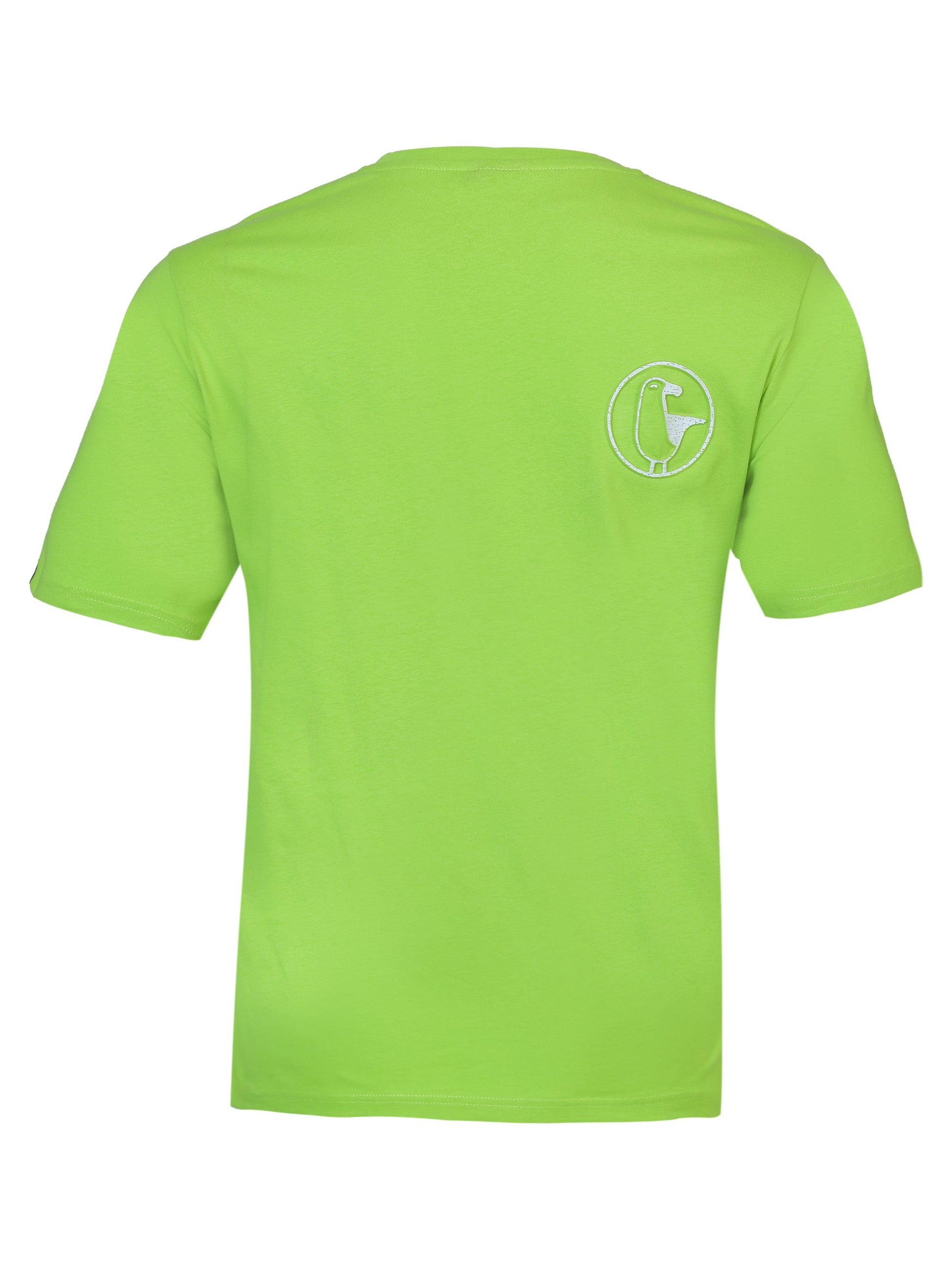 #farbe_lime