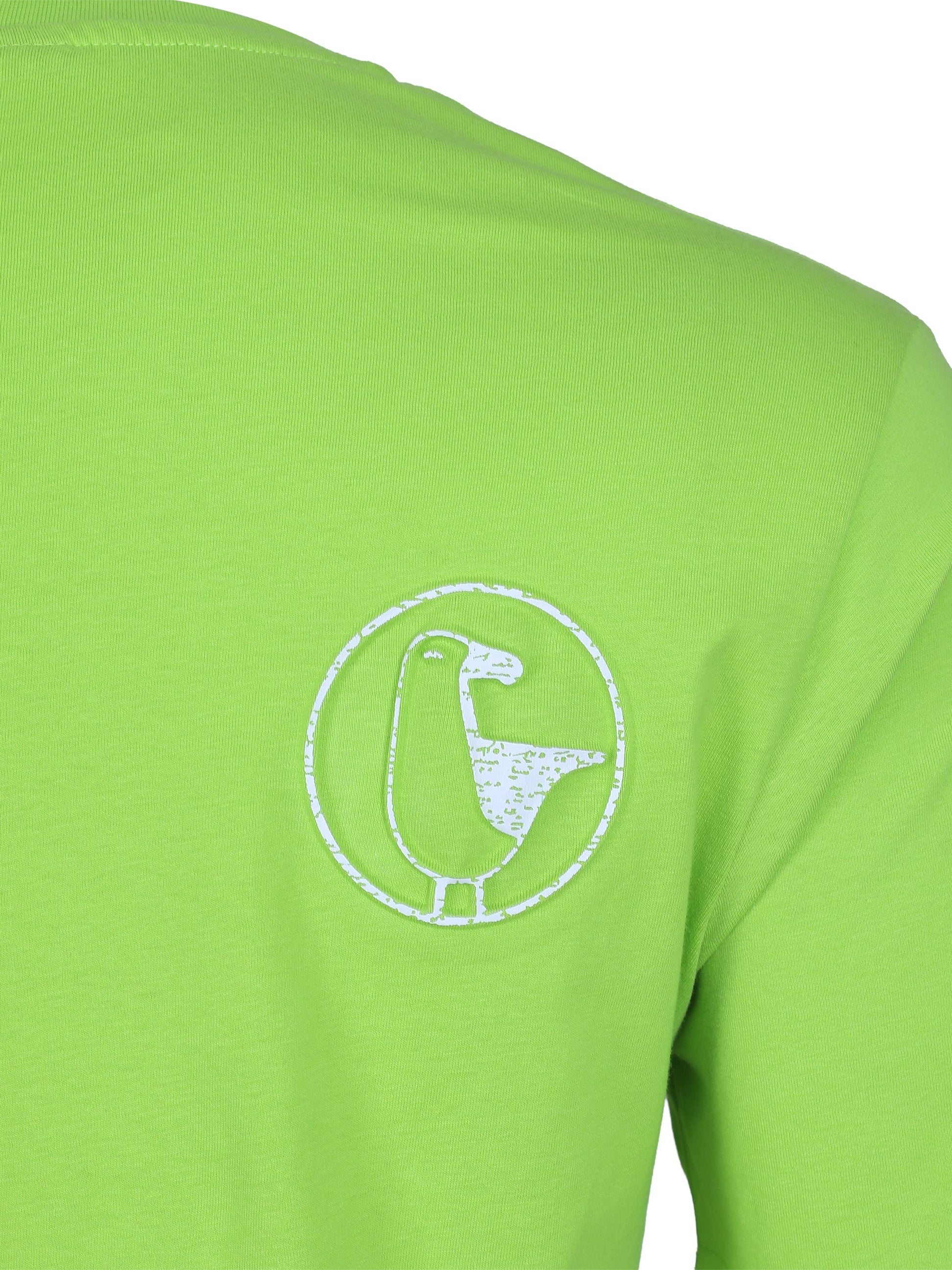 #farbe_lime