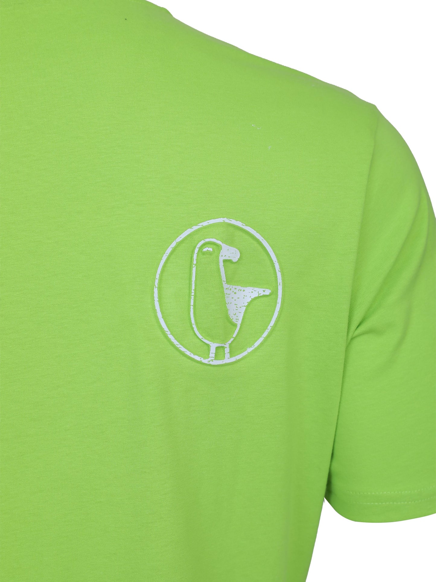 #farbe_lime