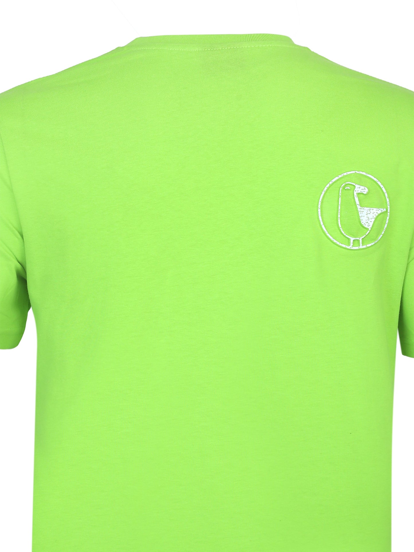 #farbe_lime