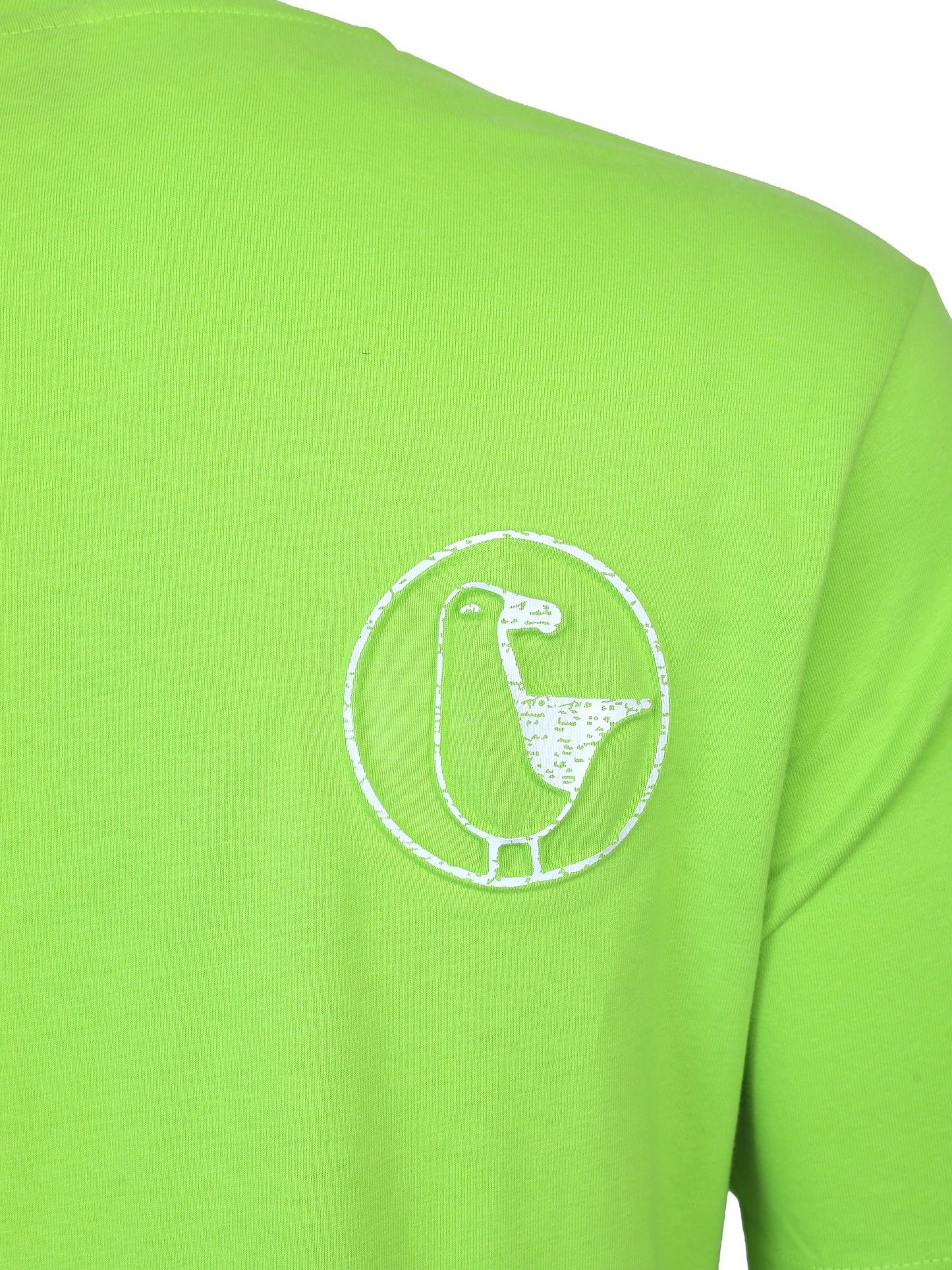 #farbe_lime