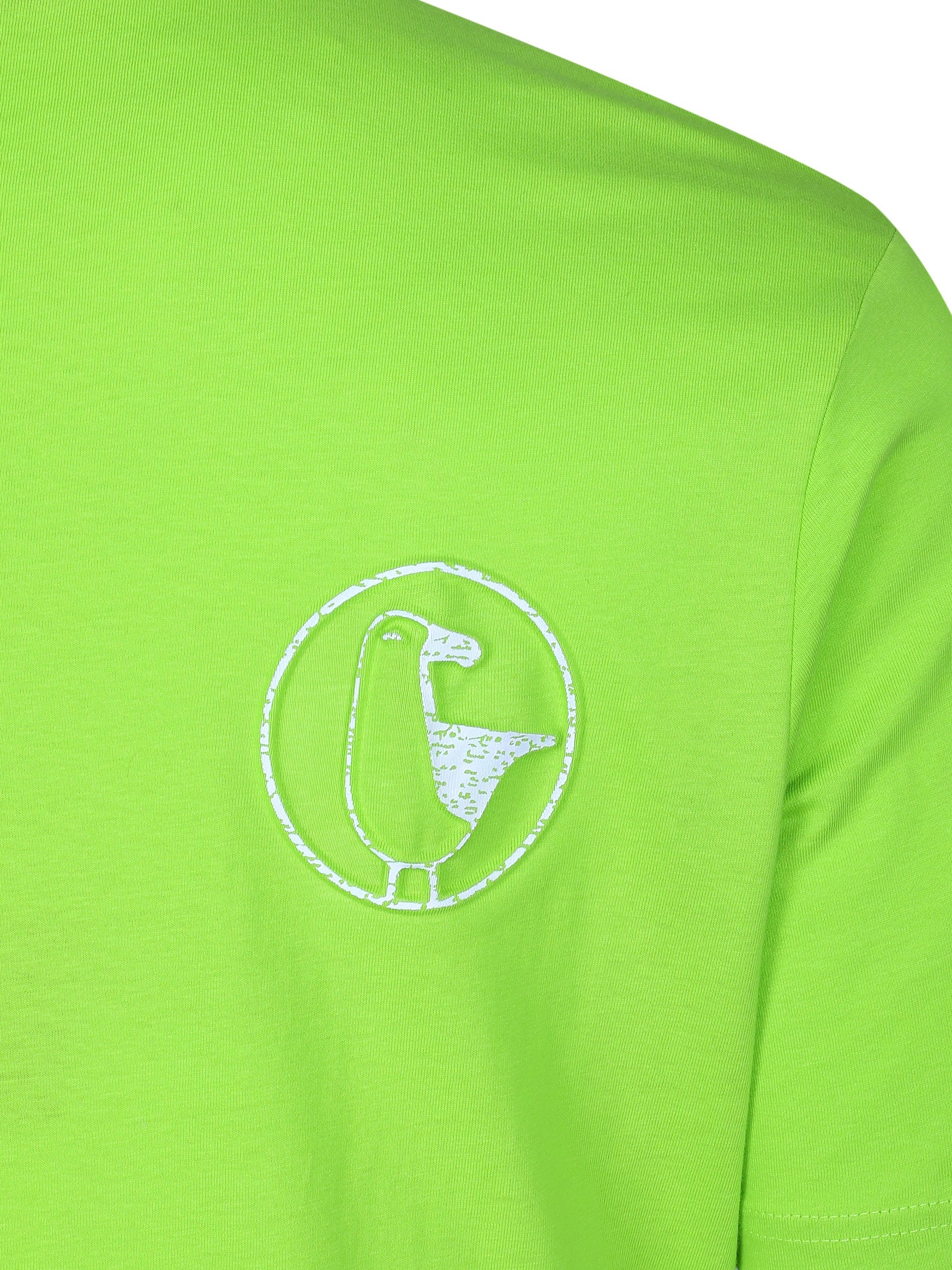 #farbe_lime